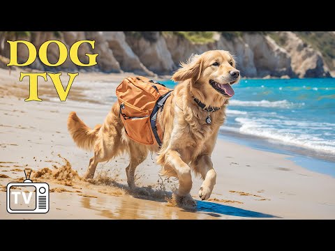 12 Hours of The Best Virtual TV for Dogs: Nature Videos to Stop Boredom and Anxiety + Music for Dog