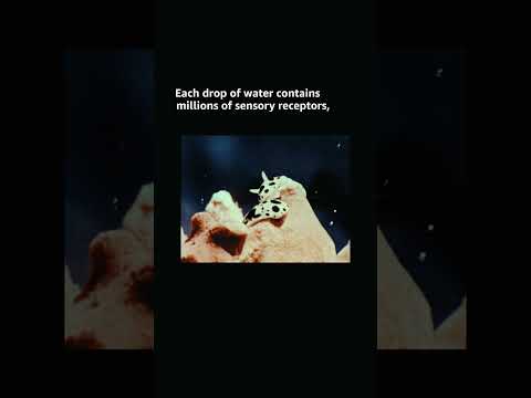 It all comes down to one thing. | The Melodic Blue