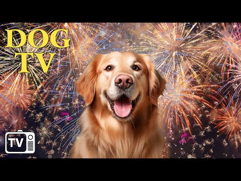 DOG TV: July 4th – Anti Anxiety Music & TV for Dogs to calm from Fireworks, Bangs and Loud Noises