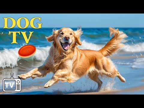 DOG TV: 12 Hours Calming Music to Soothe Dog's Anxiety | Boredom Busting Dog Videos with Music